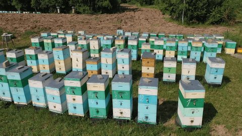 Drone Flying over Rows Beehives