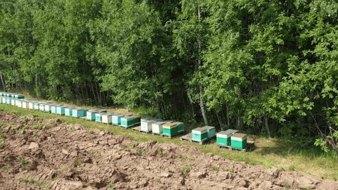 Low Drone Flight over Apiary Rows