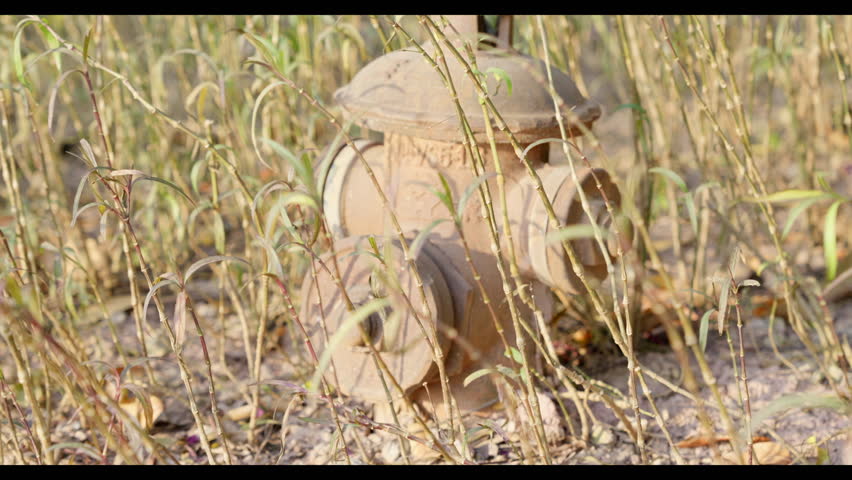 Close-up shot of a fire hydrant partially obscured by dry grass, with subtle movement from wind. Suitable as ambient footage for meditation apps, mental health content, slow living videos, or wellness presentations. No people visible; ideal for non-distracting visual backgrounds.