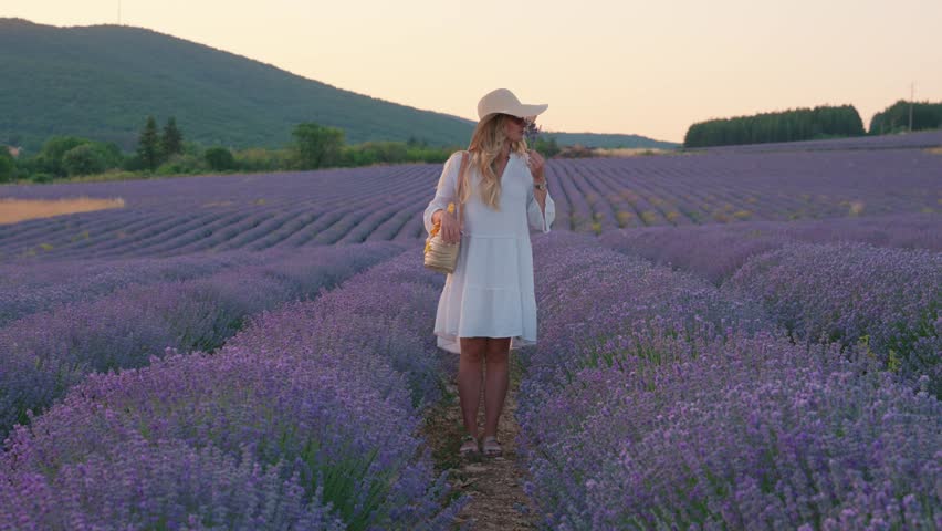 Cinematic video of a blonde girl, walking and running on a lavender field during sunset. Beautiful scenery filmed in summer. Pretty girl in hat and white long dress. Colourful videos in high resolution 4k suitable for editing