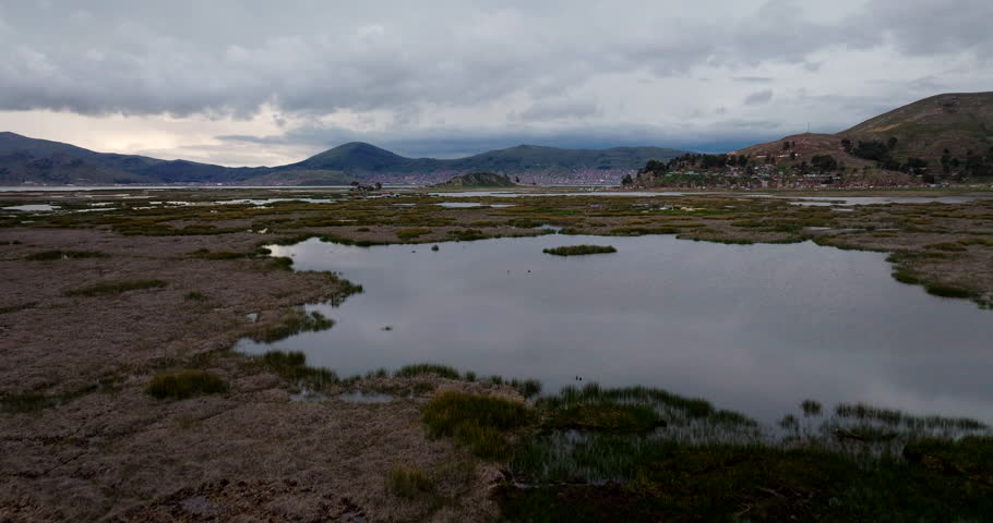Low aerial over totora reeds and aquatic vegetation of Lake Titicaca, Peru
