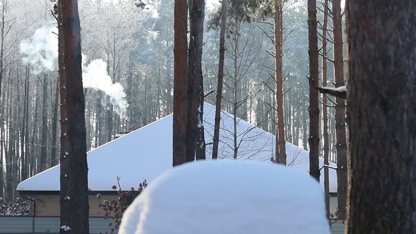 a country house in a snowy pine forest