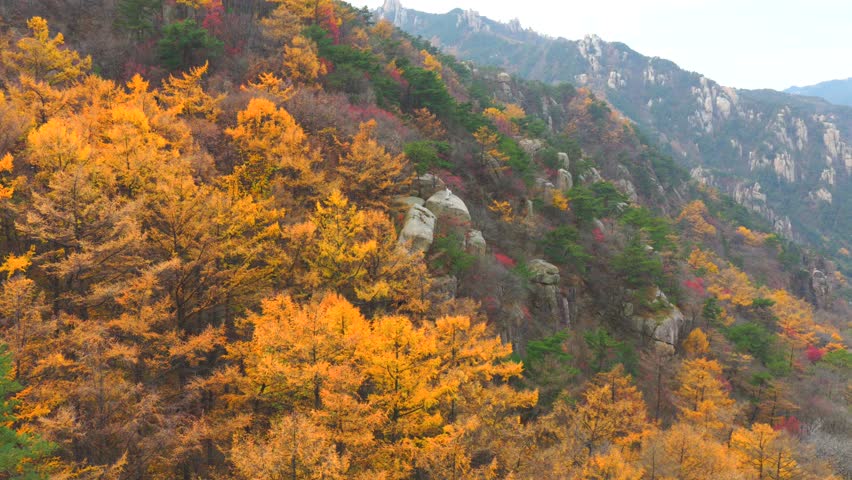 In the colorful mountains of autumn, a Chinese ancient man dressed in ancient costume stands on a giant rock at the edge of a cliff, gazing into the distance with an Eastern atmosphere.