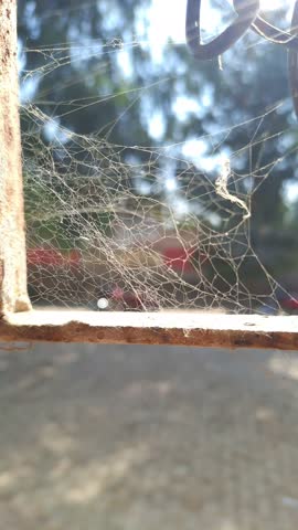 A beautifully intricate spider web suspended between a rusty metal frame and a chain. The web’s delicate strands form a chaotic yet mesmerizing pattern, illuminated by sunlight that filters through and highlights its fine structure. The contrast between the organic complexity of the web and the rugged, man-made elements creates a striking visual. In the softly blurred background, trees and a paved ground suggest an outdoor setting, adding depth and atmosphere to the scene. The overall mood is one of quiet stillness, where nature and decay coexist in a moment of unexpected beauty.