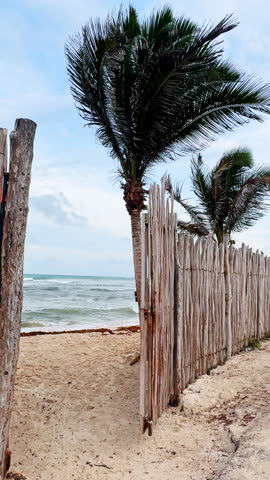 Palm trees and wooden fence by the beach on a cloudy day. Two palm trees stand beside a wooden fence near the beach with sand and ocean in the background.