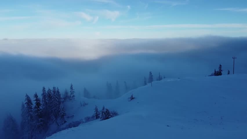 Breathtaking aerial drone view above a sea of clouds and fog. Snowy mountain tree tops poke through the thick mist in soft blue light, creating a magical, dreamlike, and mysterious winter atmosphere.