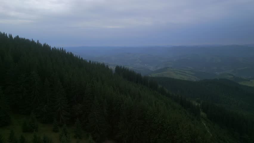 Flying over green forest at cloudy day with the mountains on horizon with glowing clouds. Carpathian mountains, Europe. 4k color corrected footage. Aerial view of classical european forest