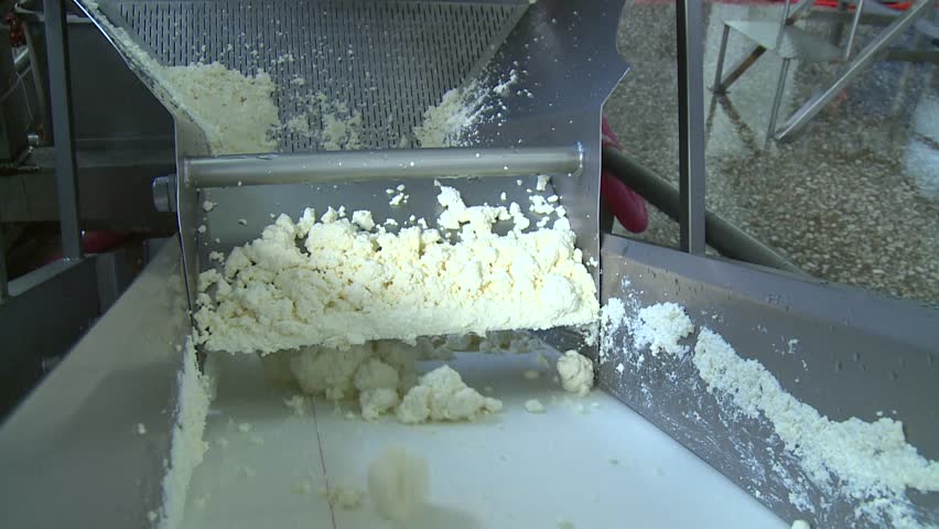White, creamy dairy product processed by industrial machinery on a conveyor belt in a modern food factory. Automated production of fresh cheese curds.