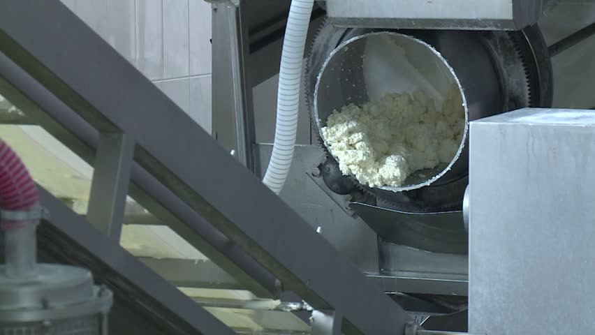 White, creamy dairy product processed by industrial machinery on a conveyor belt in a modern food factory. Automated production of fresh cheese curds.