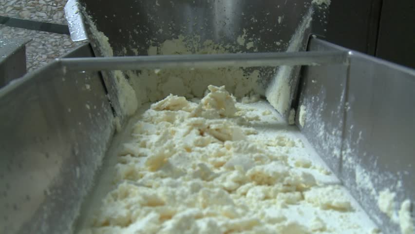 White, creamy dairy product processed by industrial machinery on a conveyor belt in a modern food factory. Automated production of fresh cheese curds.