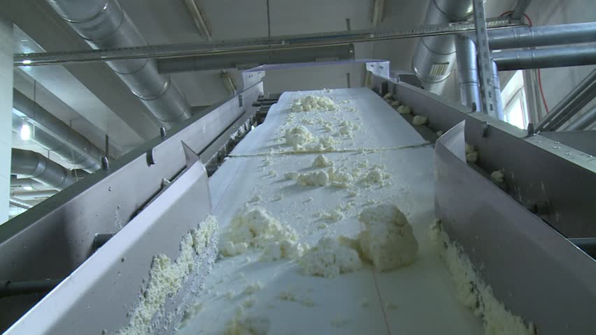 White, creamy dairy product processed by industrial machinery on a conveyor belt in a modern food factory. Automated production of fresh cheese curds.