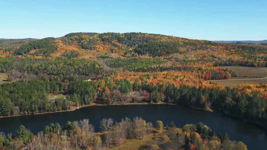 Mid day Autumn in Ontario with colourful leaves