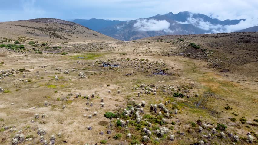 Drone footage flying over a high altitude Paramo de Santurban landscape in Santander, Colombia, showing rolling terrain, sparse vegetation, and a rugged mountain environment.