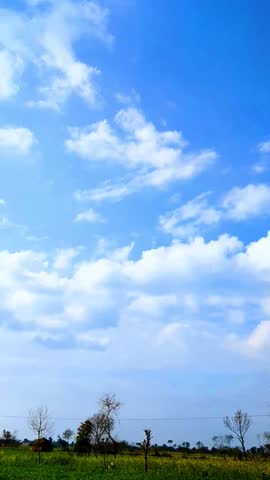 Blue sky with light cumulus clouds.