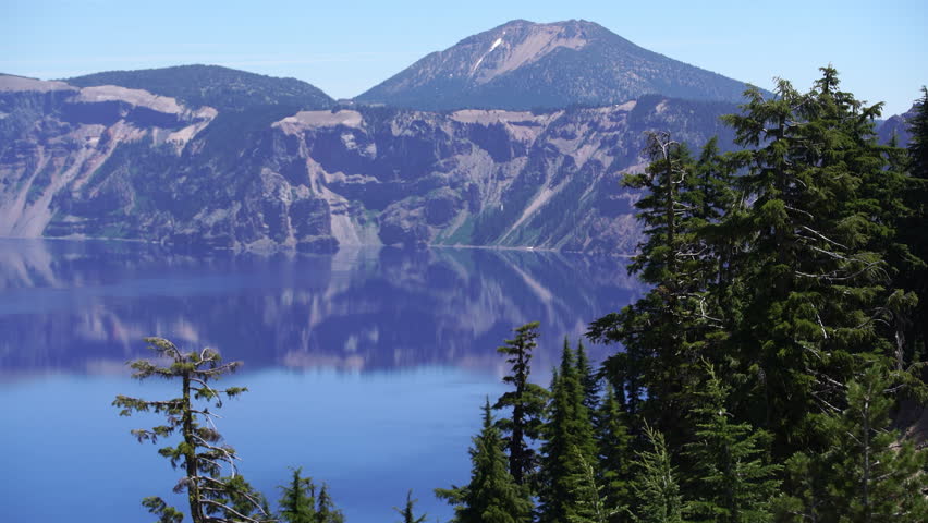 Crater Lake Trees along Rim Village Oregon USA