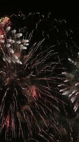 Colorful fireworks exploding in night sky