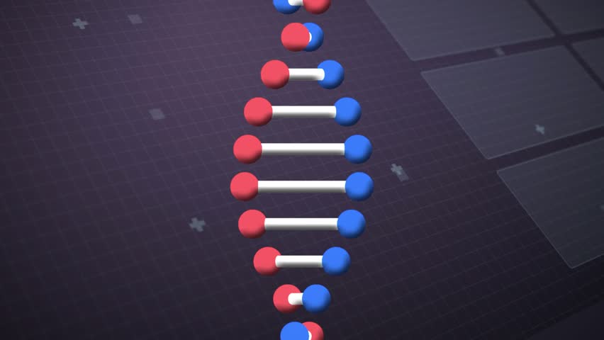 Animation of digital screen with dna, integrated circuit and numbers. Data processing, science and technology concept digitally generated video.