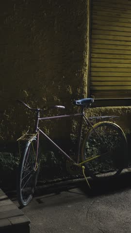 A bicycle leaning against a textured wall next to a closed metal shutter at night. Static urban exterior scene with artificial lighting and no people.