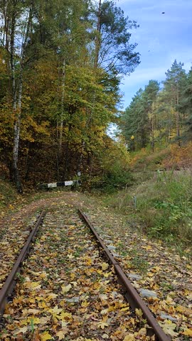 Abandoned railway track end in autumn forest with falling leaves and wind sound.
