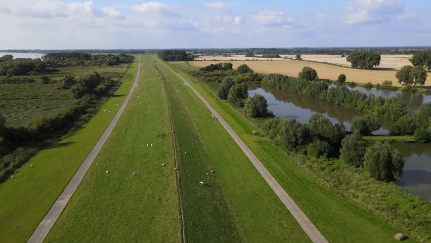 Aerial View of Lush Green Landscape with Sheep