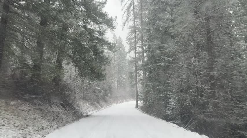 Driving on Snow Covered Forest Road During Gentle Winter Snowfall