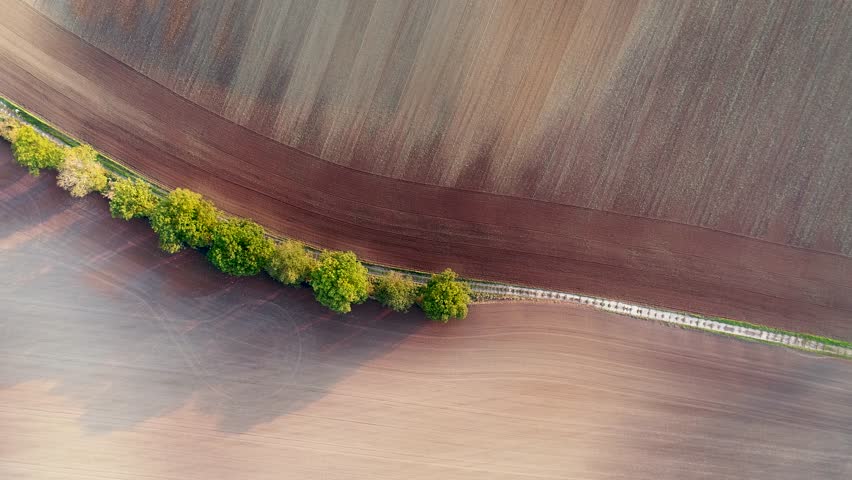 Colorful agricultural fields in Moravia aerial view with curved lines and tree row dividing farmland. Scenic rural landscape in Czech countryside.