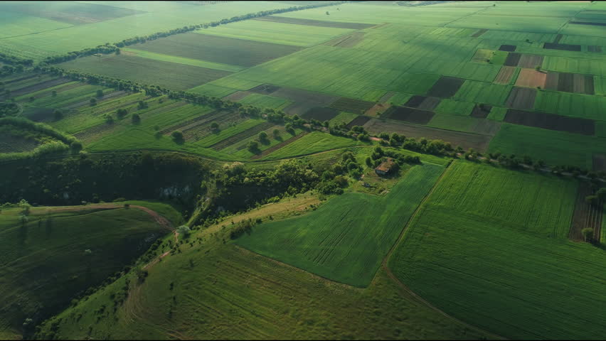 Bright Farmland With Trees And Tracks. Colorful Countryside Scene With Crops And Pathways