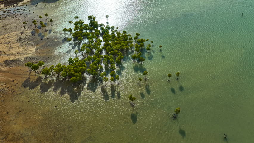 4K SDR drone aerial footage of Rodrigues Island, Indian Ocean tropical landscape, cinematic travel broadcast