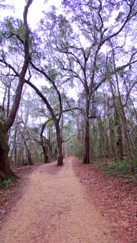 Mountain bike ride through trails in Tallahassee Florida USA
