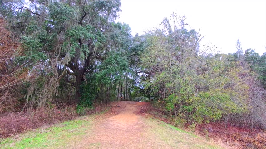 Mountain bike trails in Tallahassee Florida 2026 motion video
