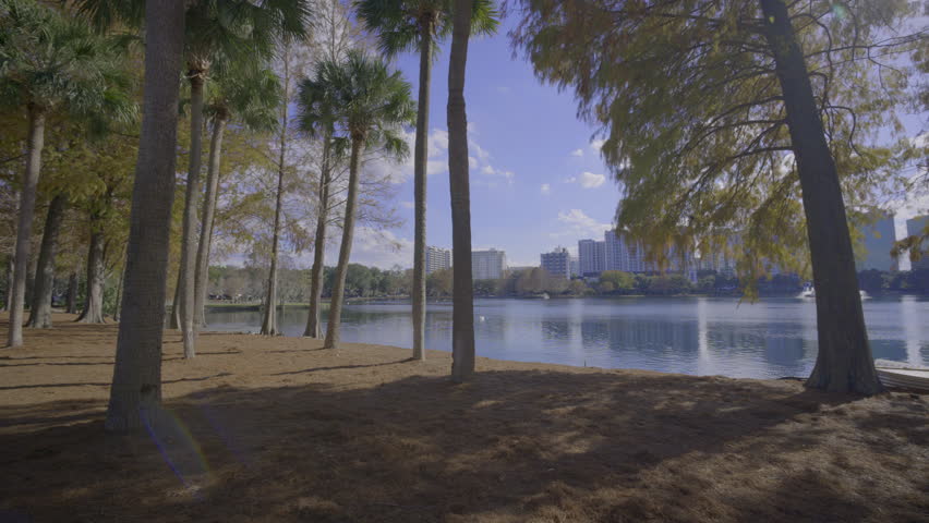 Nature scene Orlando Lake Eola. 4k 24p prores raw 422