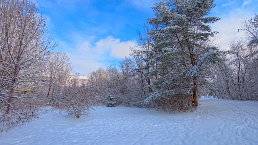 Beautiful winter scene New Hampshire USA 2026 after heavy snow storm