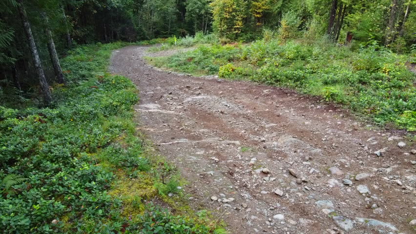 An ATV with a male rider coming towards the shot from around the corner on a rugged gravel path in the forest