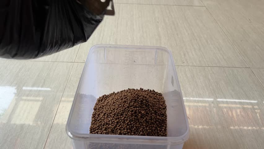 Video: An Asian man is putting fish food in the form of fish pellets into a plastic container.