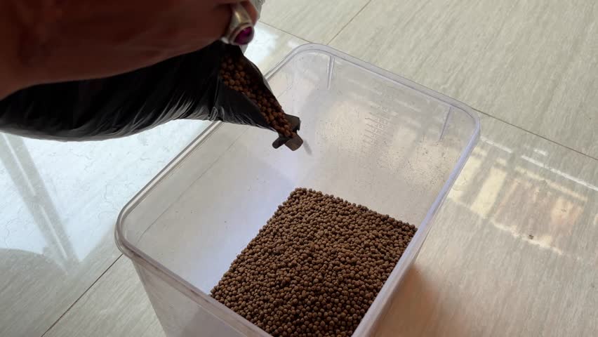 Video: An Asian man is putting fish food in the form of fish pellets into a plastic container.
