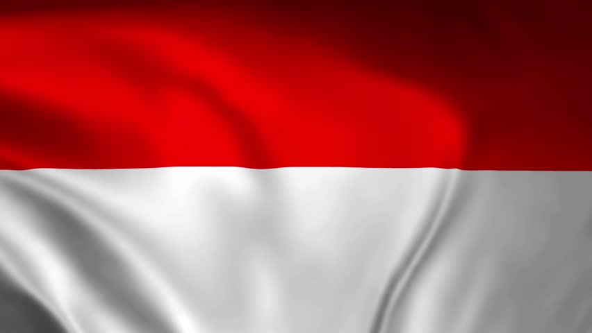 National Flag of Indonesia Animation Stock Video