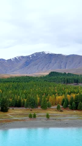 A vertical landscape featuring a turquoise lake, dense pine forest, and distant snow-capped mountains.