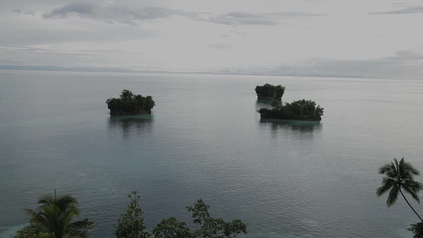 Rocks covered with trees rise from the sea along the steep coast.