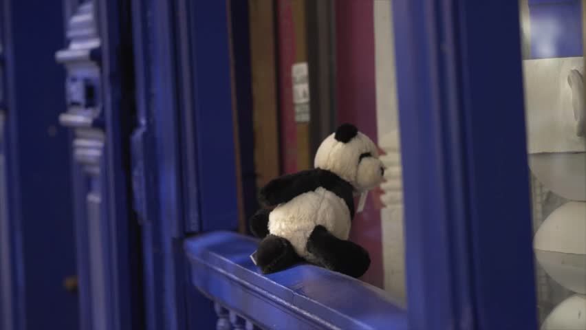 Handheld close-up shot of a stuffed panda toy sitting on a blue ledge beside a blue painted shop window frame in Chinatown, Sydney