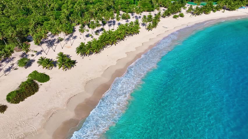 Seamless loop of sea waves on white Hawaiian sand beach, aerial view. Palm trees, blue sea and pure natural landscape. Walk along a tropical exotic sandy beach. Paradise beach on an island in the ocean.