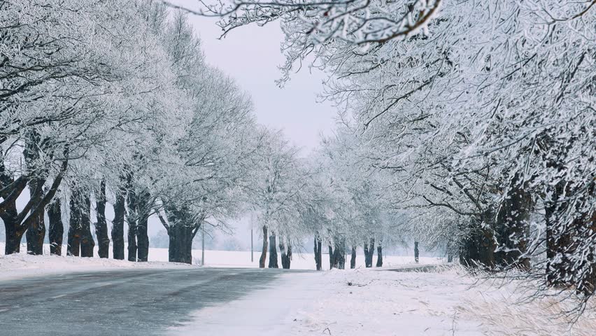 A quiet, snow-blanketed path winds through a forest with bare trees covered in fresh snow. The cold, serene atmosphere is captured with soft lighting and distant haze.