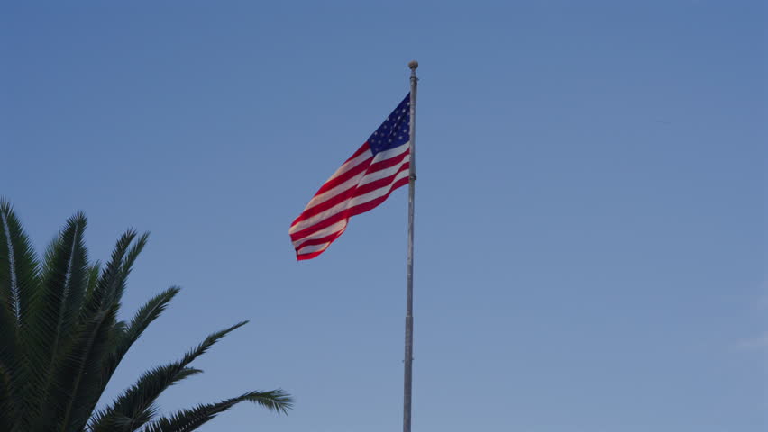 American Flag Waving On A Tall Pole Under Tropical Palm Trees With Clear Blue Sky In Florida, USA. Low Angle Shot