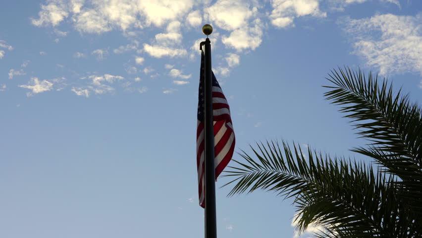 American Flag Fluttering In The Wind Under A Tropical Palm Tree. Slow Motion Shot
