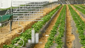 Opening in greenhouse on drip pipe, nozzles, camera panning right showing irrigation charts. Agriculture, technology, precision, sustainability, automation, horticulture, analytics - Powered by Shutterstock - Get 15% off with code: PIKWIZARD15