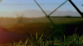 Animation of text with globe and network of connections. Global digital interface technology and networking concept digitally generated video. - Powered by Shutterstock - Get 15% off with code: PIKWIZARD15