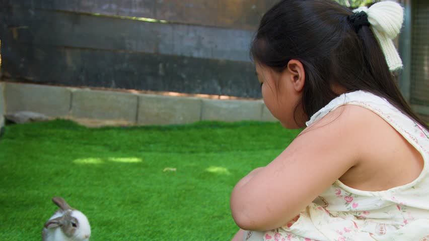 A young girl crouches on artificial grass, offering a metal bowl of food to rabbits