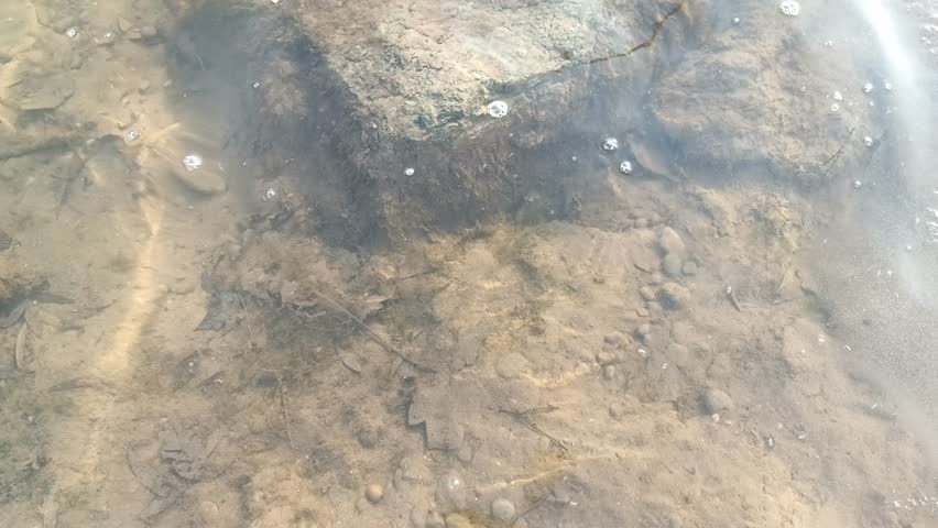 Clear Shallow Water Revealing Rocks and Riverbed.
Clear shallow water reveals rocks and natural textures on the riverbed. Gentle ripples move across the surface, creating a calm and peaceful nature scene that highlights the clarity and detail of the underwater landscape.