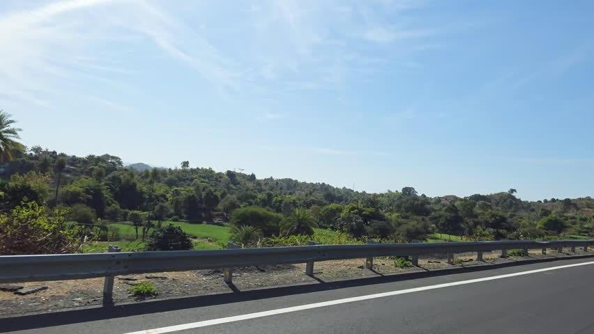A vibrant view of dense green vegetation and trees lining a highway in India, showcasing the natural beauty of the landscape.
