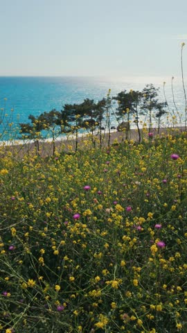 A scenic view of a beach  on Mediterranean coast of Turkey. Mediterranean beach during summer vacation. Nature view for summer vacation. 