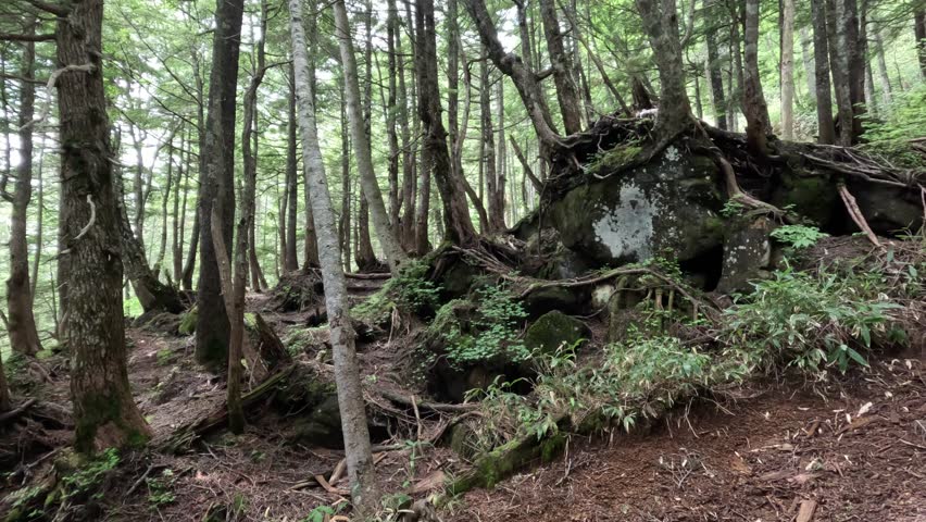 Walking along the hiking trails of Mt. Ontake.
